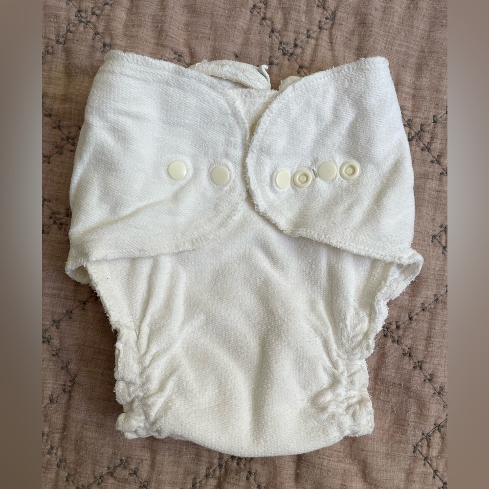 2 Babee Greens Fitted Cotton Cloth Diaper